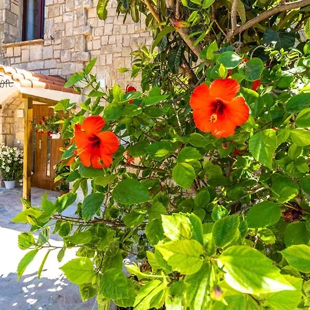 别墅 Maryvilla Inspiracion Y Vacaciones - Grand Penon